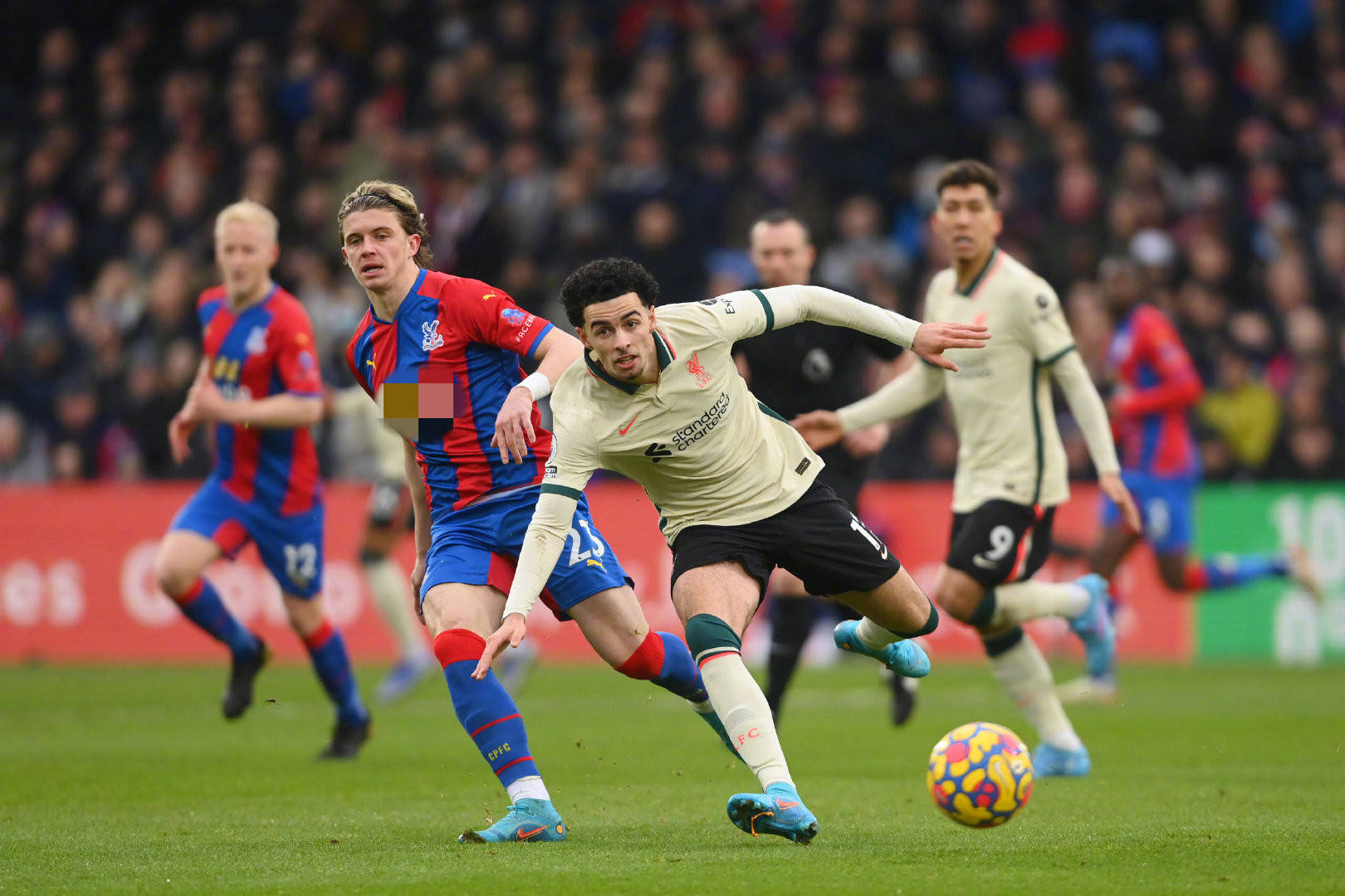 首次公开的 首次公开的