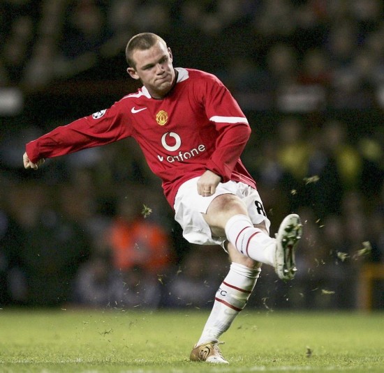 自然融入 自然融入